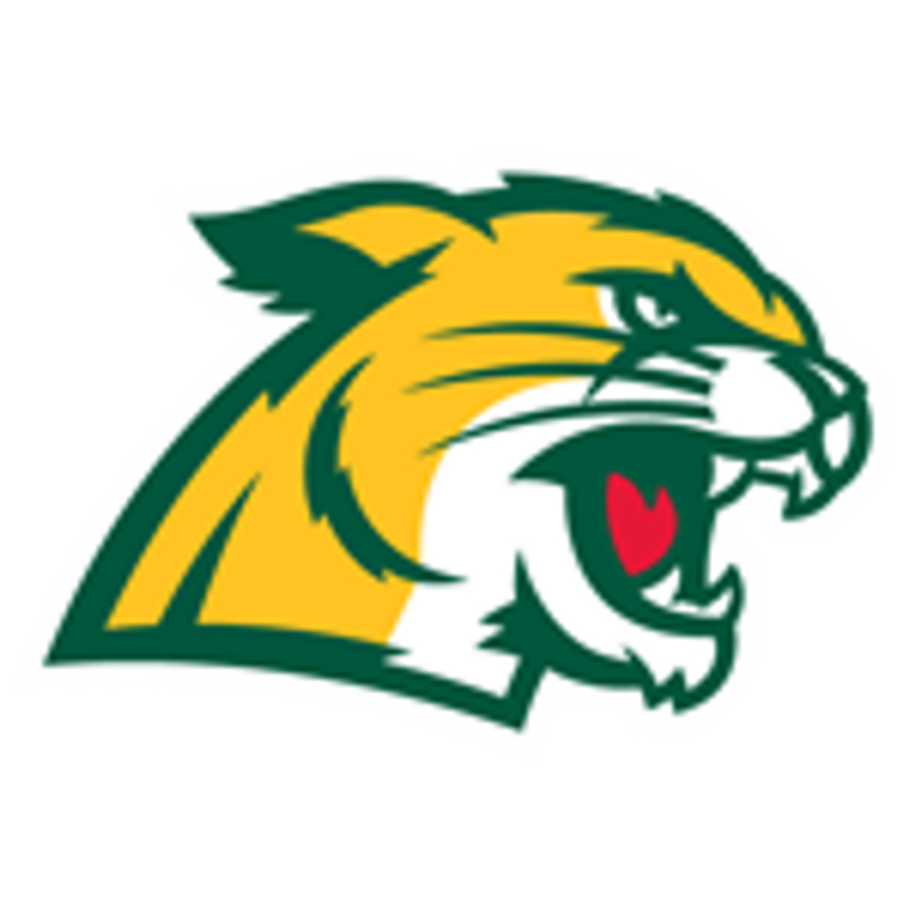 Northern Michigan Wildcats